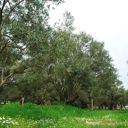 Villanova * Urla