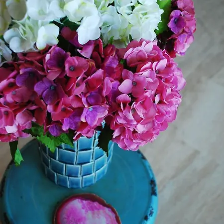 Villanova